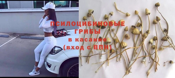 мяу мяу мука Кинешма