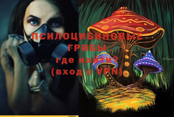 мяу мяу мука Кинешма