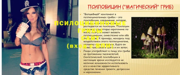 прущие крисы Киреевск
